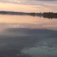 lech majewski  (lech majewski), Årnes, Toruń