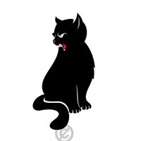 Dorota Danecka (DorotaDanecka)