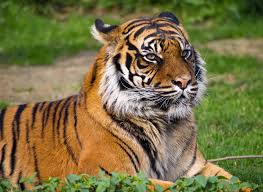 Pawel czarnecki (paul9553), lillehammer, podkarpacie