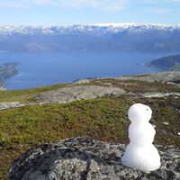 Plaster Pl (PlasterPl)