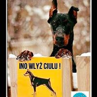 Ktm Bike von Besten (KtmBikevonBesten)