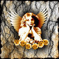 xena xena39 lat (xena), .....