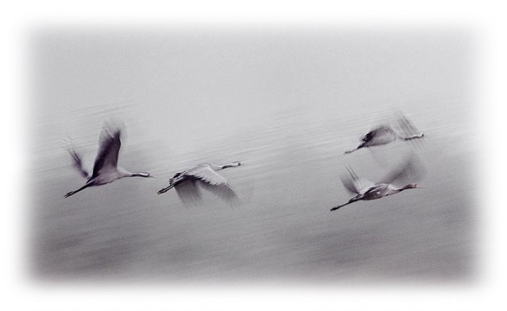 Marzena Nędzkiewicz Sobkowiak (MarzenaNedzkiewiczSobkowi)