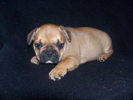 rosemarykreve  (rosemarykreve)