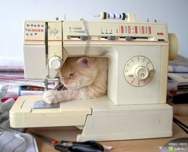 Aniela Sawicka (rozgoryczon), Sarpsborg, Sarpsborg