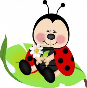 Biedronka1  (Biedronka1)