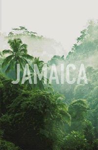 Tomasz Hans (TomaszHans)