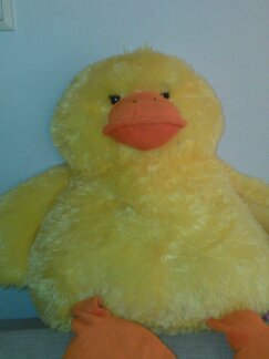 Grzegorz5  (Grzegorz5)