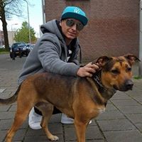 piotrchachula  (piotrchachula)