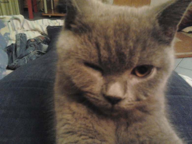 Beatka Beatka (beatka28), Szczecin