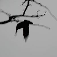 Jozue Ciosek (JozueCiosek)