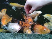 Jaroslaw Suda (JaroslawSuda)