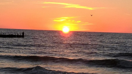 adi53 KROL (adi53), OSLO, KIELCE