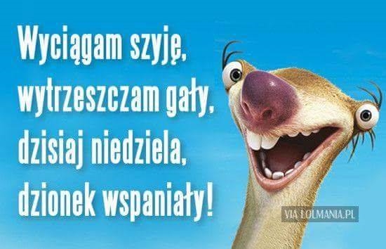 Mariuszek_75  (Mariuszek_75), brak, PILAWA GORNA