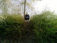 Rafał Kowalski (RafalKowalski)