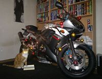 Mateusz Kobus (MateuszKobus)