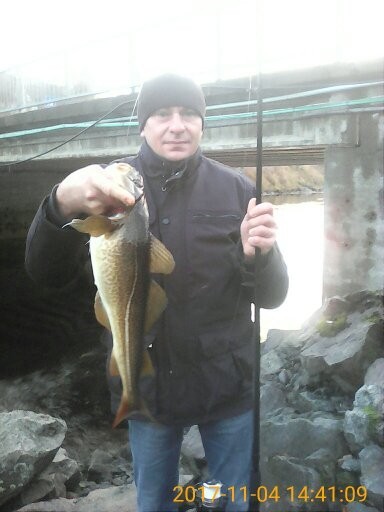 Marek Czarnota (Marek Czarnota )