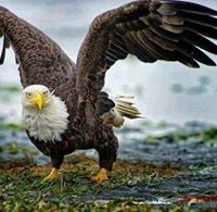 Maciek Orlowski (MaciekOrlowski), Szczecin