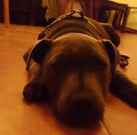 Jarosław Mikołajczak (Jaroslaw82), Oslo, Bydgoszcz