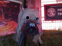 Kor RallyFan (KorRallyFan), Osøyro, Tułowice