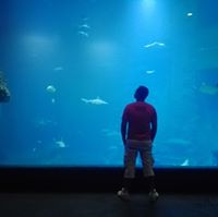 Radosław Simkiewicz (RadoslawSimkiewicz), Stathelle, Opole