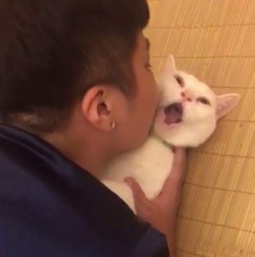 Kris_Qbik  (Kris_Qbik)