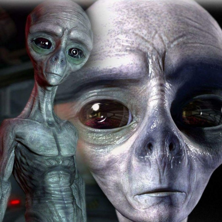 TomekD.  (TomekD.), Oslo, Częstochowa