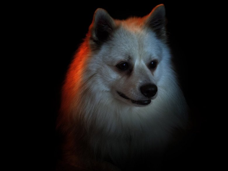 Jola Farstad  (Jola Farstad)