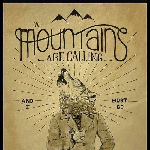 Kamil Wójcik (KamilWojcik)