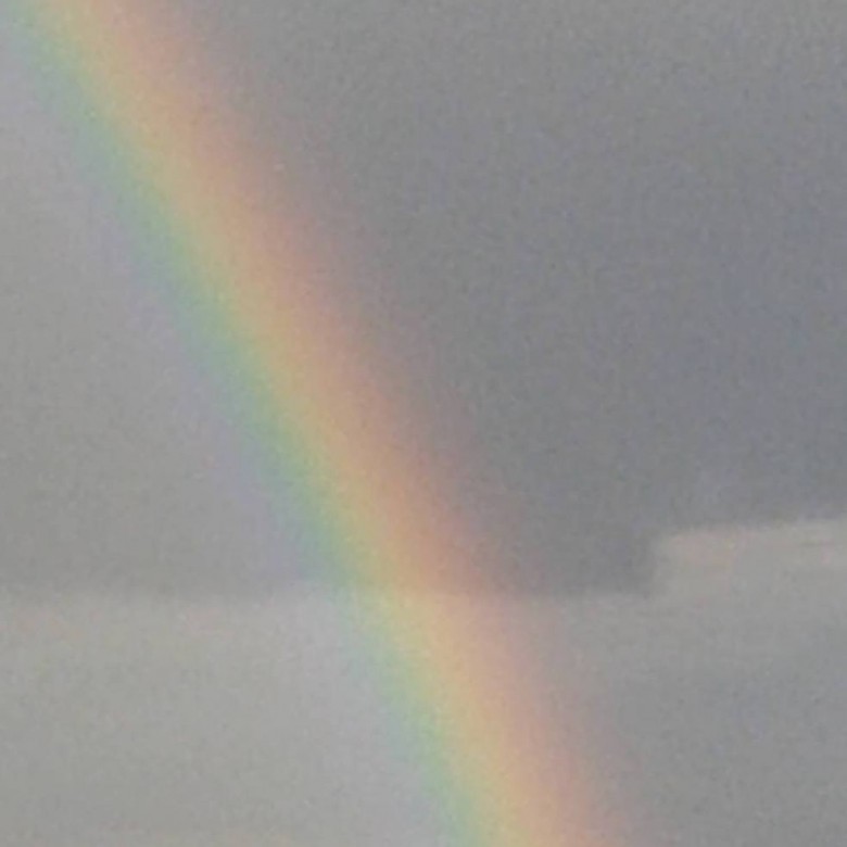 De Monika (DeMonika)