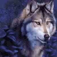 Krzysztof Zyskowski (KrzysztofZyskowski)