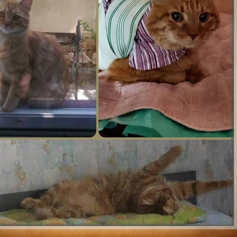 Halina Nerkowska (HalinaNerkowska)