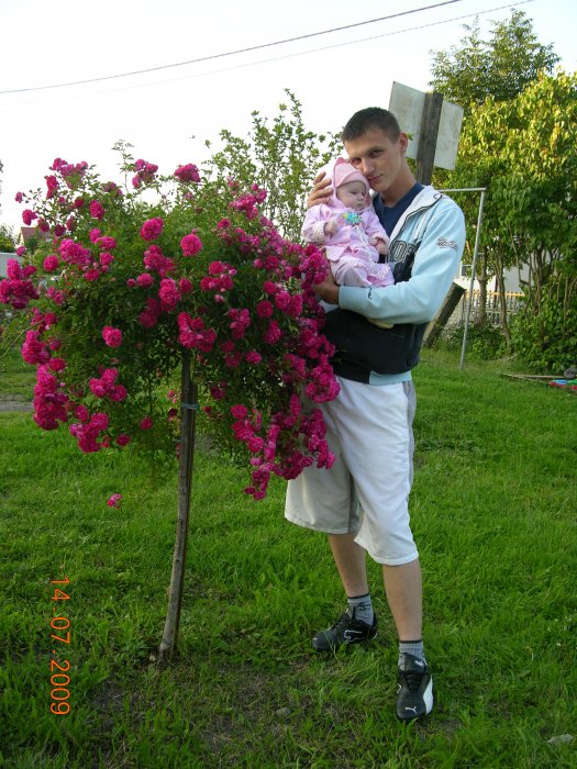 Piter07 (Piotr Młody)