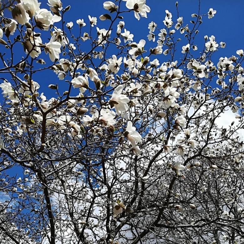 Ewa Falch  (Ewa Falch)