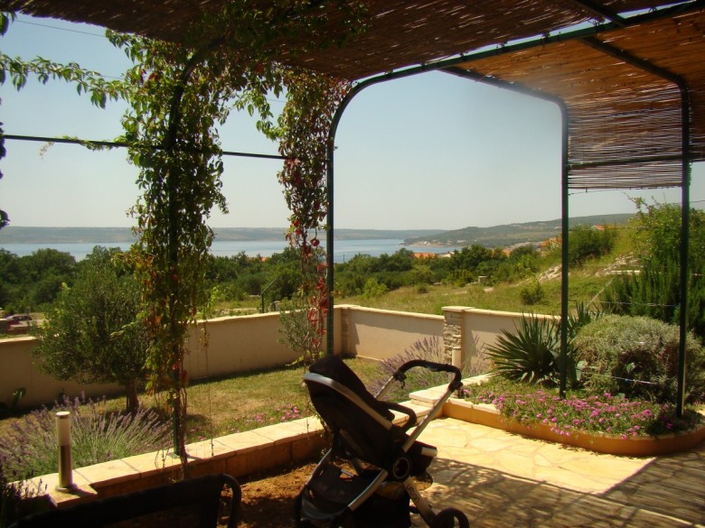 kubagip  (kubagip), Moss, Dębica