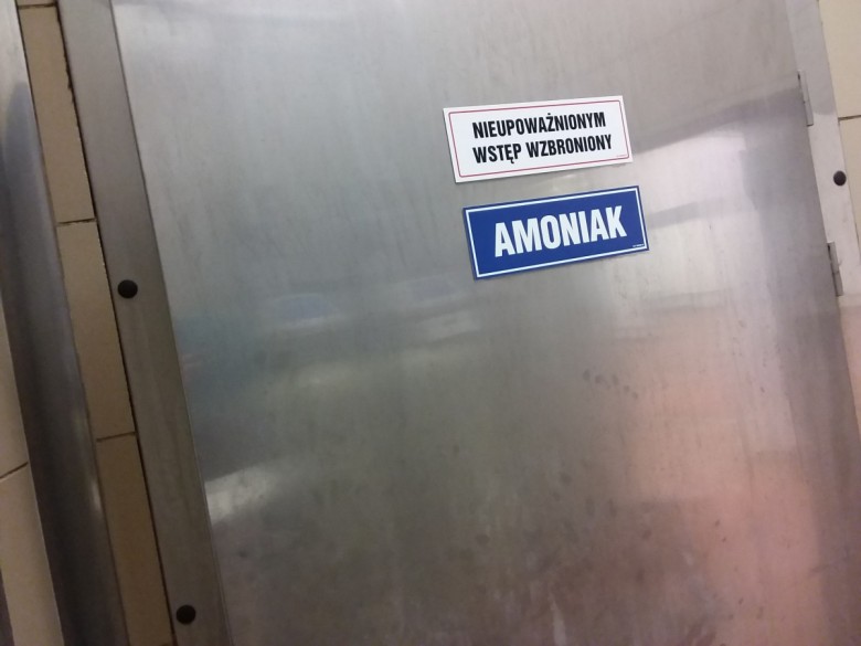 Aleksander G.  (Aleksander G.)