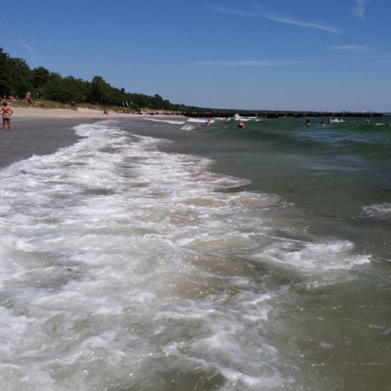 Alicja Kubica (AlicjaKubica)