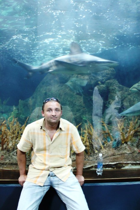 Marcin A (cocacoloholik), Moss, Ciechanów, Elbląg