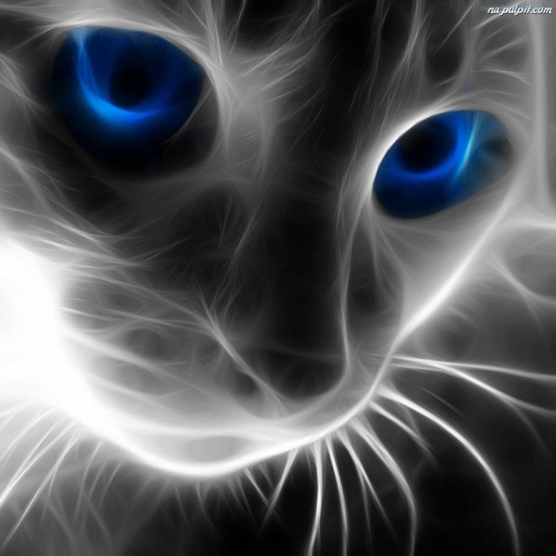 KaSza Szcz (KaSzaSzcz)