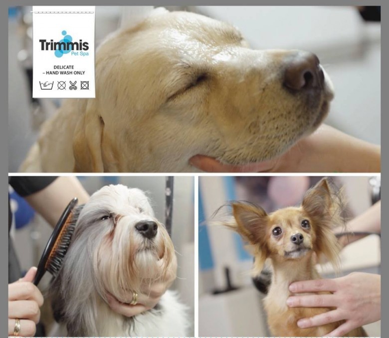 Trimmis Pet Spa Norway  (Trimmis Pet Spa Norway), Oslo, Lodz