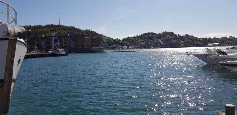 Tomek Sitek (Tomben8484), Sandefjord, Warszawa