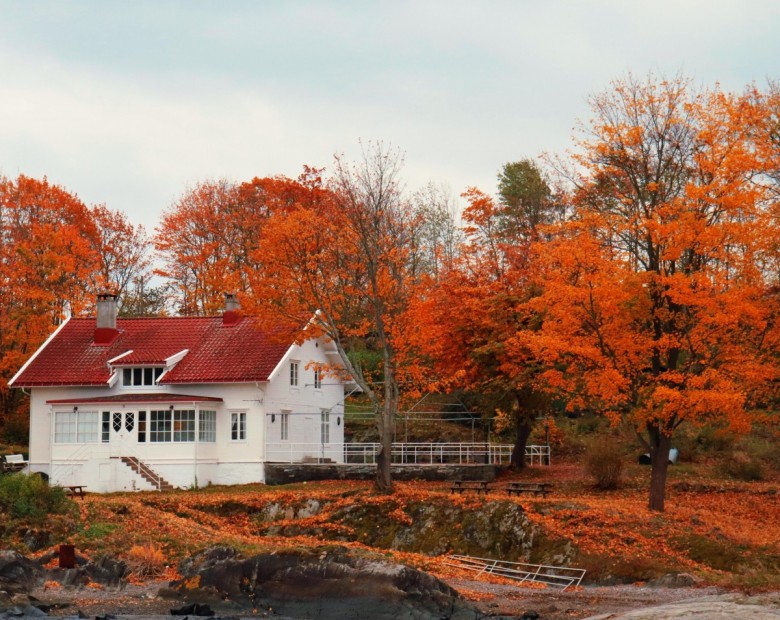 norsksvensk  (norsksvensk)