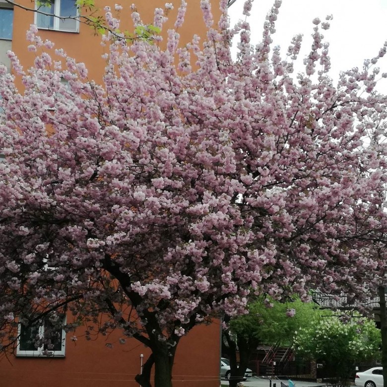 Magdalena Czapiewska (MagdalenaCzapiewska), Szczecin