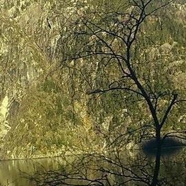Iza iza (iza43), Świerzno, Świerzno