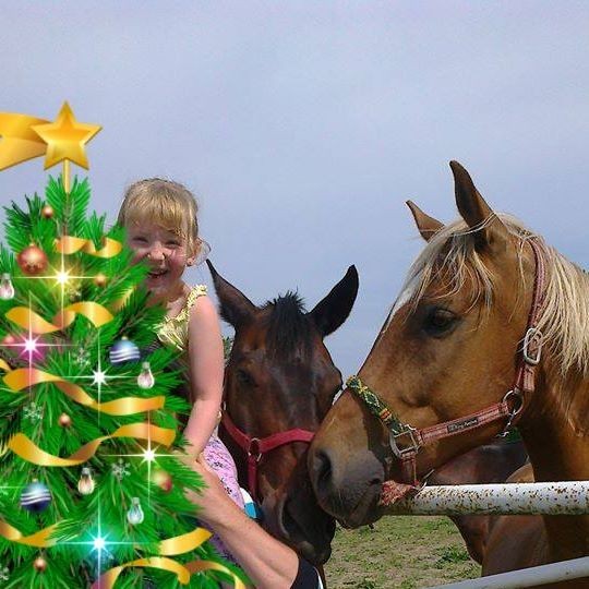 Radosław Struck (RadoslawStruck), Oslo, Kuznica, Gdansk