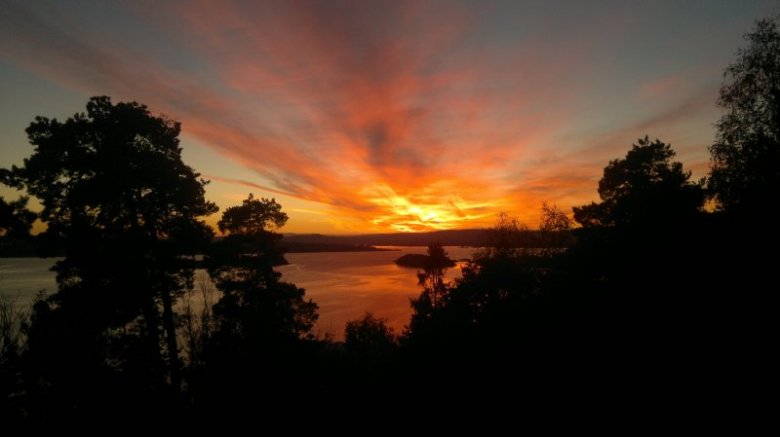 rys. . (rys), oslo, lidzbark