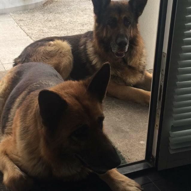 Jacek Bugajak (JacekBugajak)