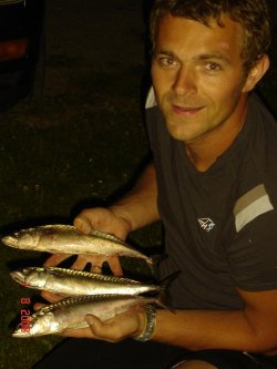Dawid Francuz (25stand), nittedal, Slask