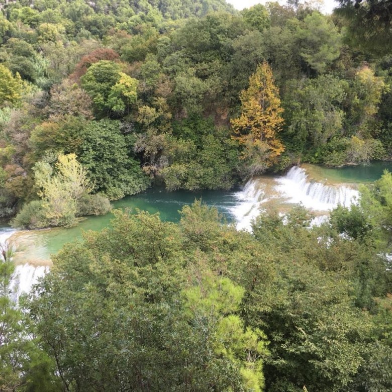 Neli Stok (NeliStok)