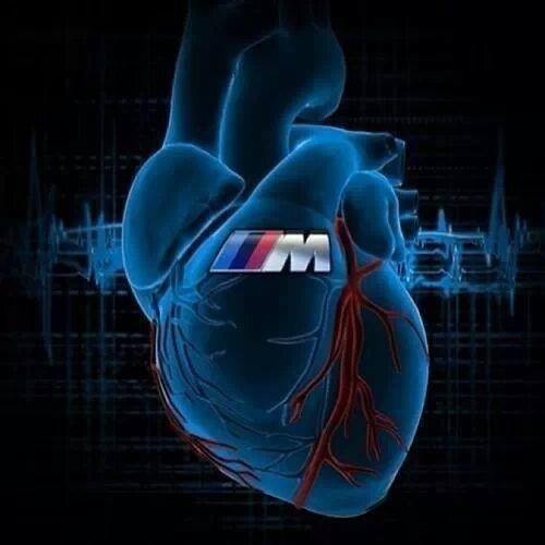 Vel Siciliano (VelSiciliano)